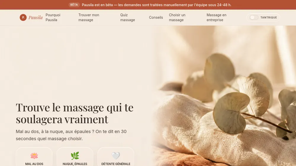 Aperçu du site Pausila